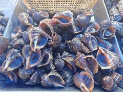 -重振华中蔬菜批发市场(重庆中路店)