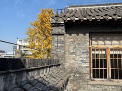 -青莯_Percher Coffee Shop(皮市街店)