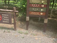-西青郊野公园