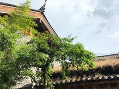 大堂-田德能咖啡博物馆