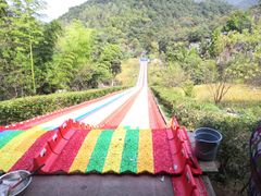 -千岛湖石林