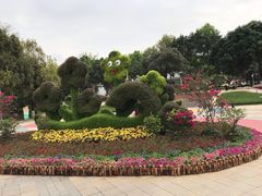 -天河儿童公园