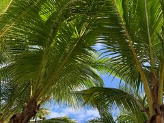 -亚马逊丛林水乐园