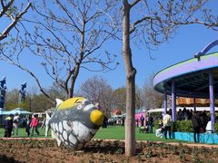 -秦皇岛乐岛海洋王国