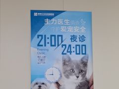 -美联众合爱康动物医院•复杂内科•肿瘤科•牙科•腔镜诊疗中心