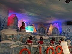 -帝企鹅自助餐厅•儿童岛•真企鹅(长隆企鹅酒店)