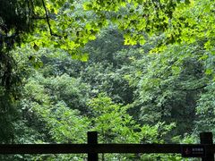 -青城山