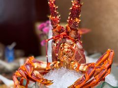 -鹏天阁酒楼·海鲜(红旗店)