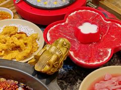 -蜀大侠火锅(建设路第五大道店)