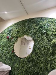 点击看大图 -香秀空间科技抗衰·美容中心