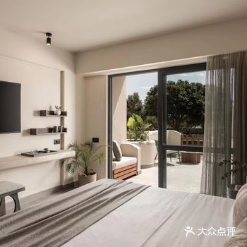 接待台以当地植物作为入画元素进行设计,木制隔断切分公区和客房