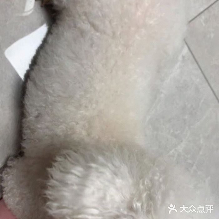 佳雯宠物医院(金华南路分院)图片