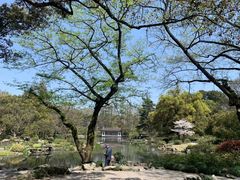 -杭州植物园