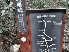 -雨花胜境