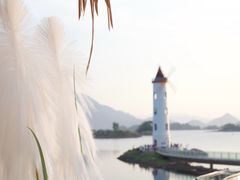 -魁鱼馆·千岛湖金陵山水啤酒温泉酒店
