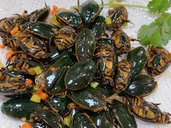 -寻味顺德·南记酒家·传统顺德菜·鱼生(广源路店)