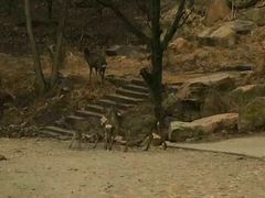 -金堂县云顶石城风景区