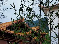 -深圳仙湖植物园
