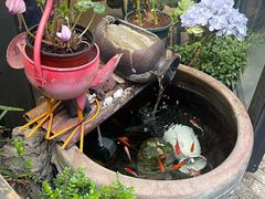 -萤火虫咖啡(砖著店)