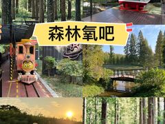 -黄海国家森林公园