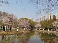 -泰丰公园