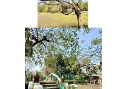 -一寨两国风景区