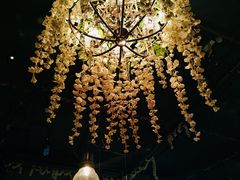 -胡桃里乐队酒馆(长春总店)
