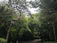 -北陵公园