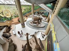 -陕西自然博物馆