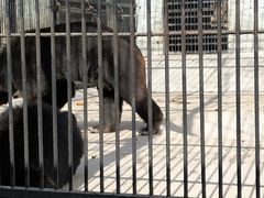 -广东茂名森林公园