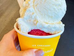 -Patagonia Chocolates(皇后镇店)