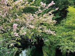 -棠湖公园