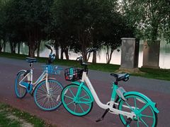 -艾溪湖湿地公园