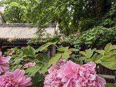 -潭柘寺景区