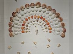 -青岛贝壳博物馆