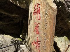 -牛背梁国家森林公园