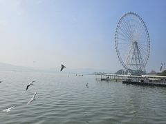 -蠡湖大桥公园