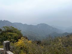 -大岭沟猕猴桃谷风景区