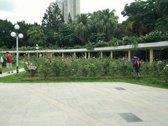 -人民公园(罗湖区)