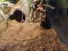 -梦幻海洋王国(吾悦广场张家港店)