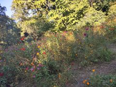 -香山公园-东宫门售票处