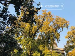 -北京石刻艺术博物馆