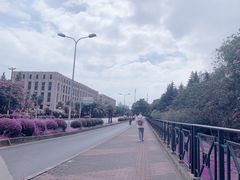 -瑞慈体检上海普陀机构