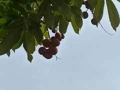 -北坞公园