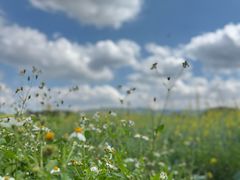 -光明小镇欢乐田园