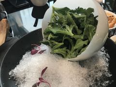非洲冰草-云门锦翠(商鼎国际店)