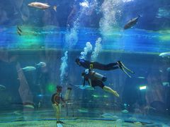 -华夏文旅海洋公园