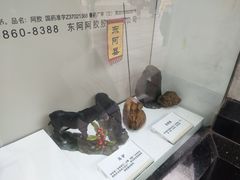 -上海市第一医药商店(南京东路店)