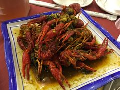 -重庆火锅水库鱼庄(南油店)