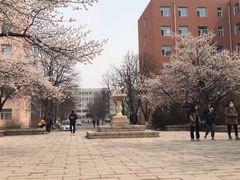 -吉林大学(前卫南区)
